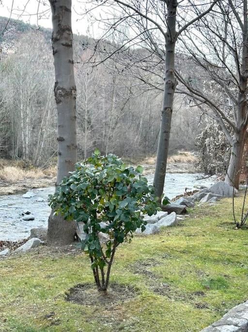 Acogedor Alojamiento En Martinet, Cerdanya, Puigcerda Exteriér fotografie